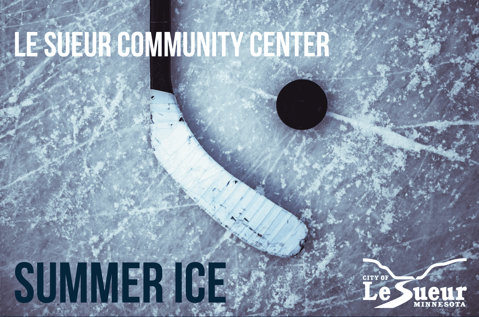 Summer Ice Flyer