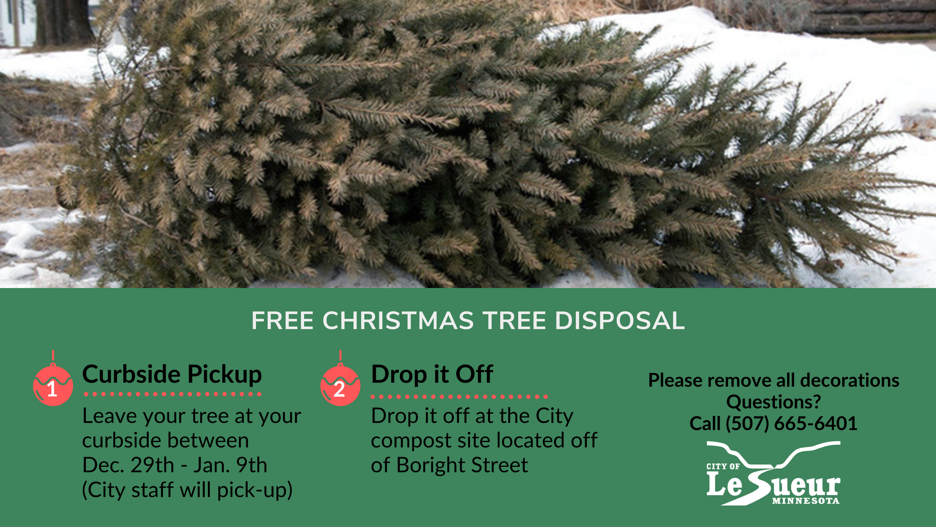 Christmas tree with instructions for curbside disposal